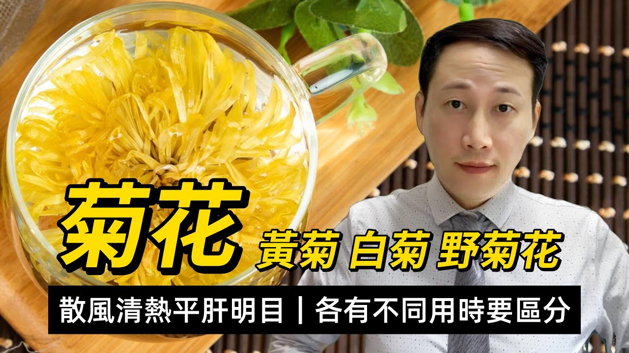 菊花，黃菊白菊野菊花，功效和注意，散風清熱平肝明目，各有不同用時要區分