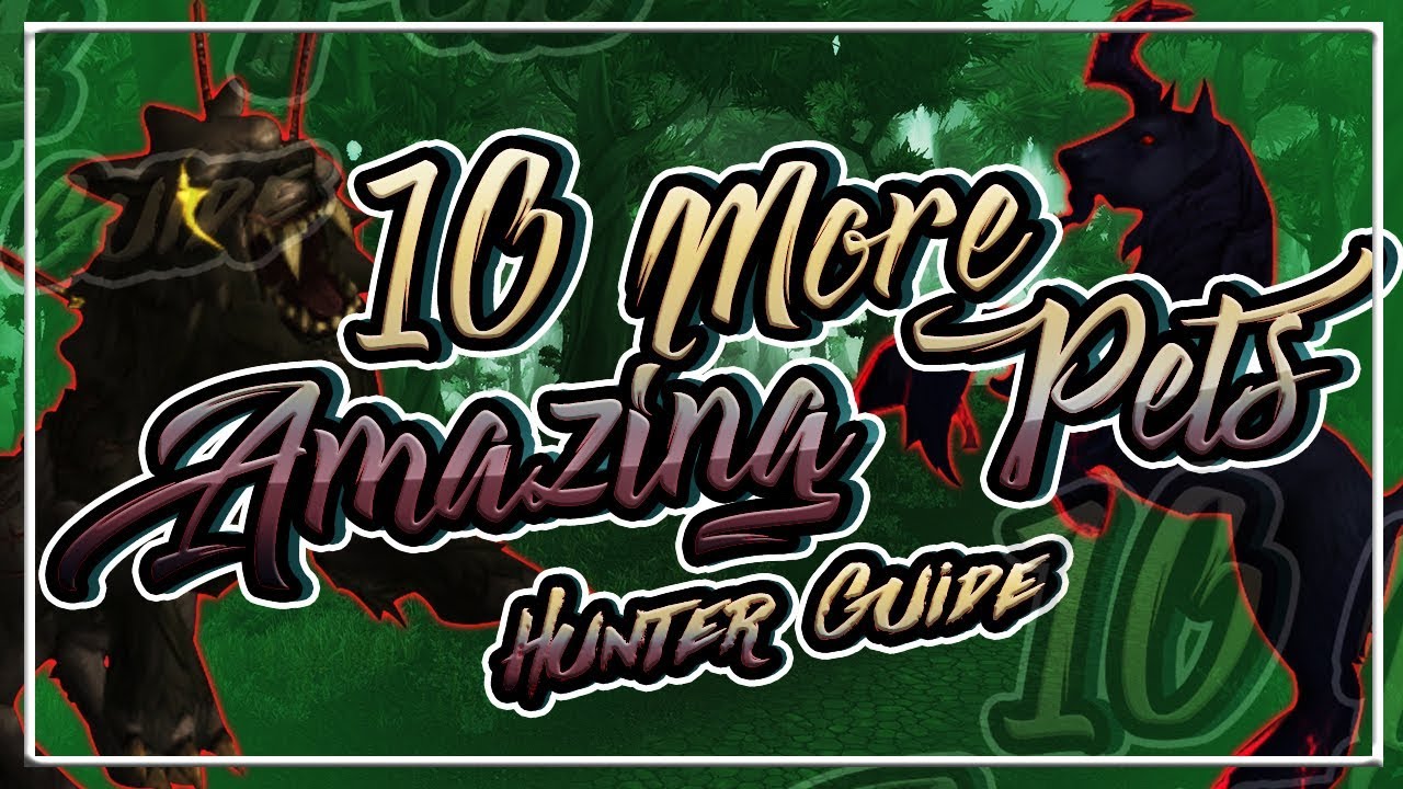 10 MORE AMAZING LOOKING HUNTER PETS│World of Warcraft