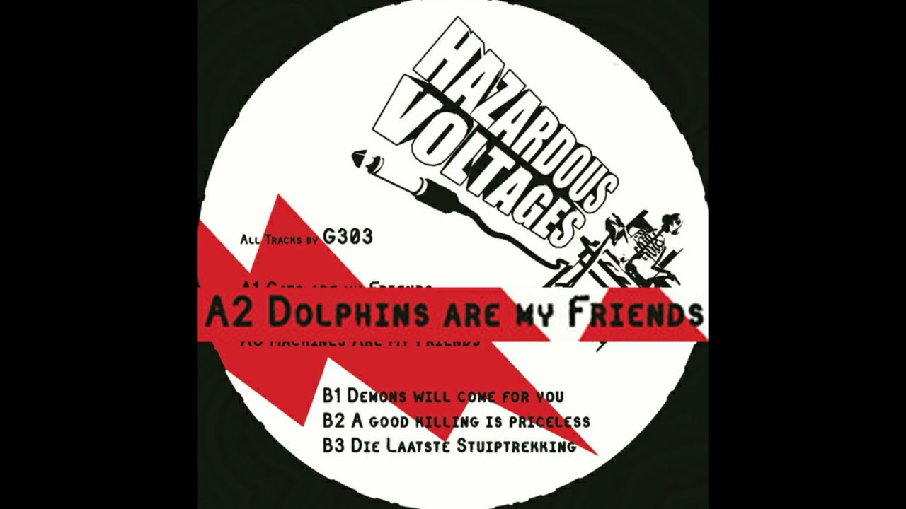 Hazardous Voltages 05   G303    dolphins are my friends