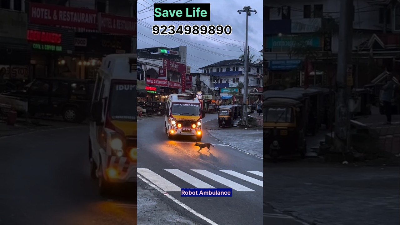 The ambulance saved the dog's life || #ambulance #yt #health #dog #life #savings #accidente #driving