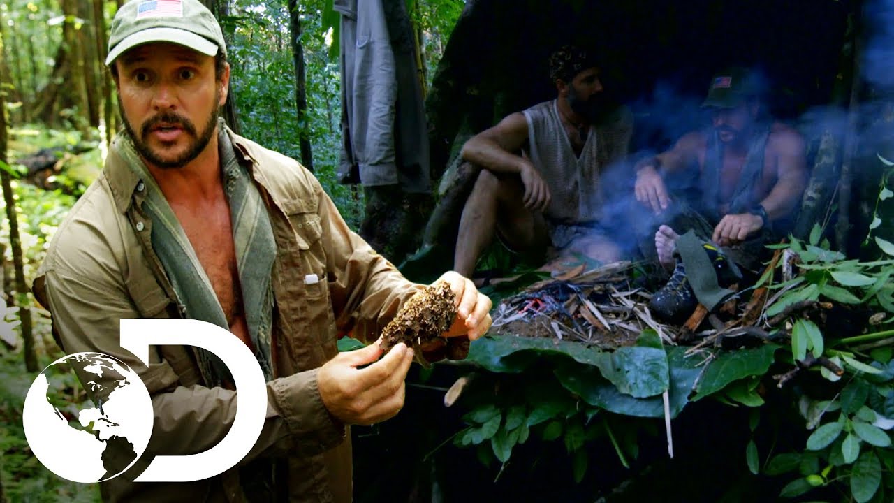 Joe usa nido de termitas para hacer fuego en la selva | Desafío x 2 | Discovery Latinoamérica