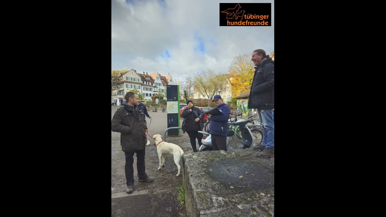 Begleithundeprüfung 2025 #hundesport #hundetraining #dogtraining