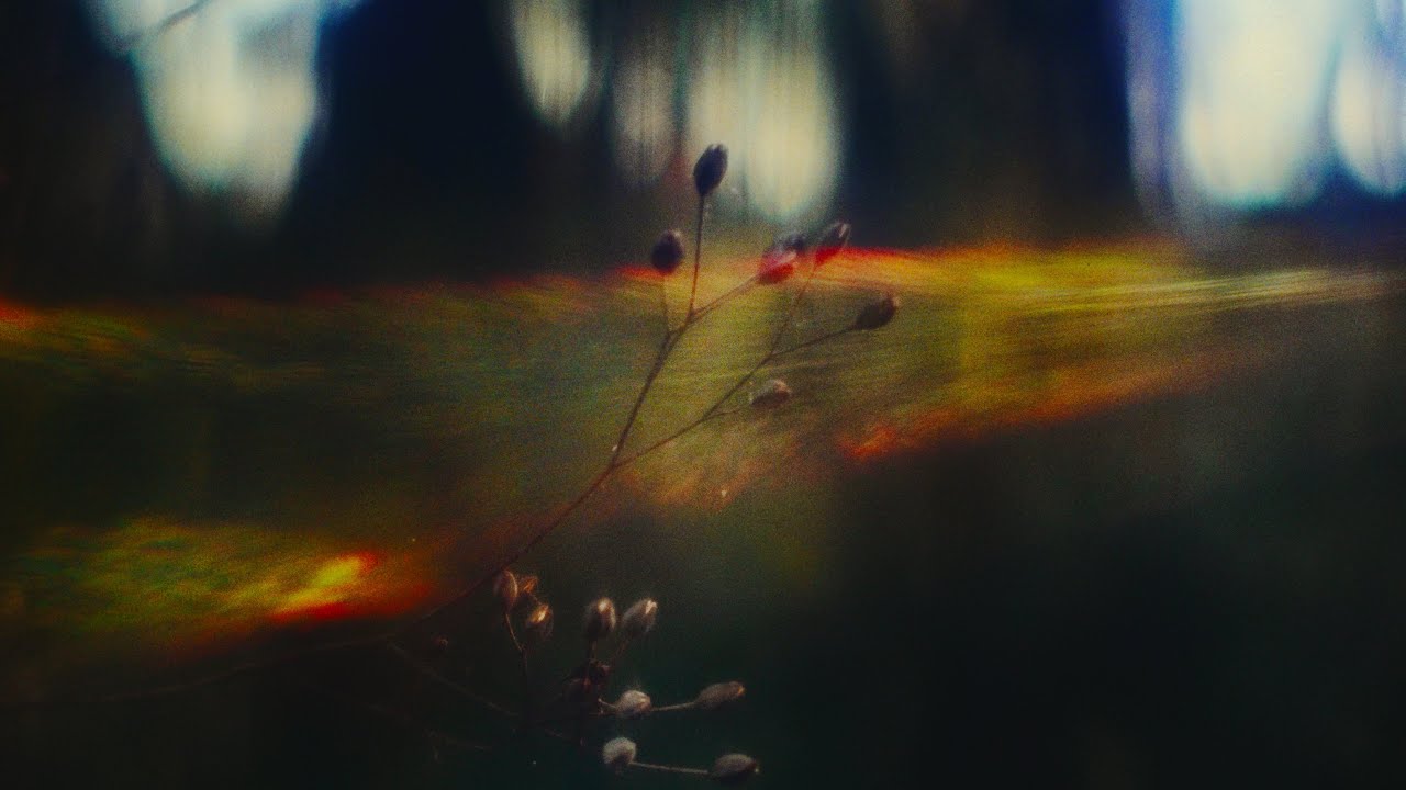 Shadowlight | Sony FX3 | Helios 44-2 58mm | DJI RS3 Pro