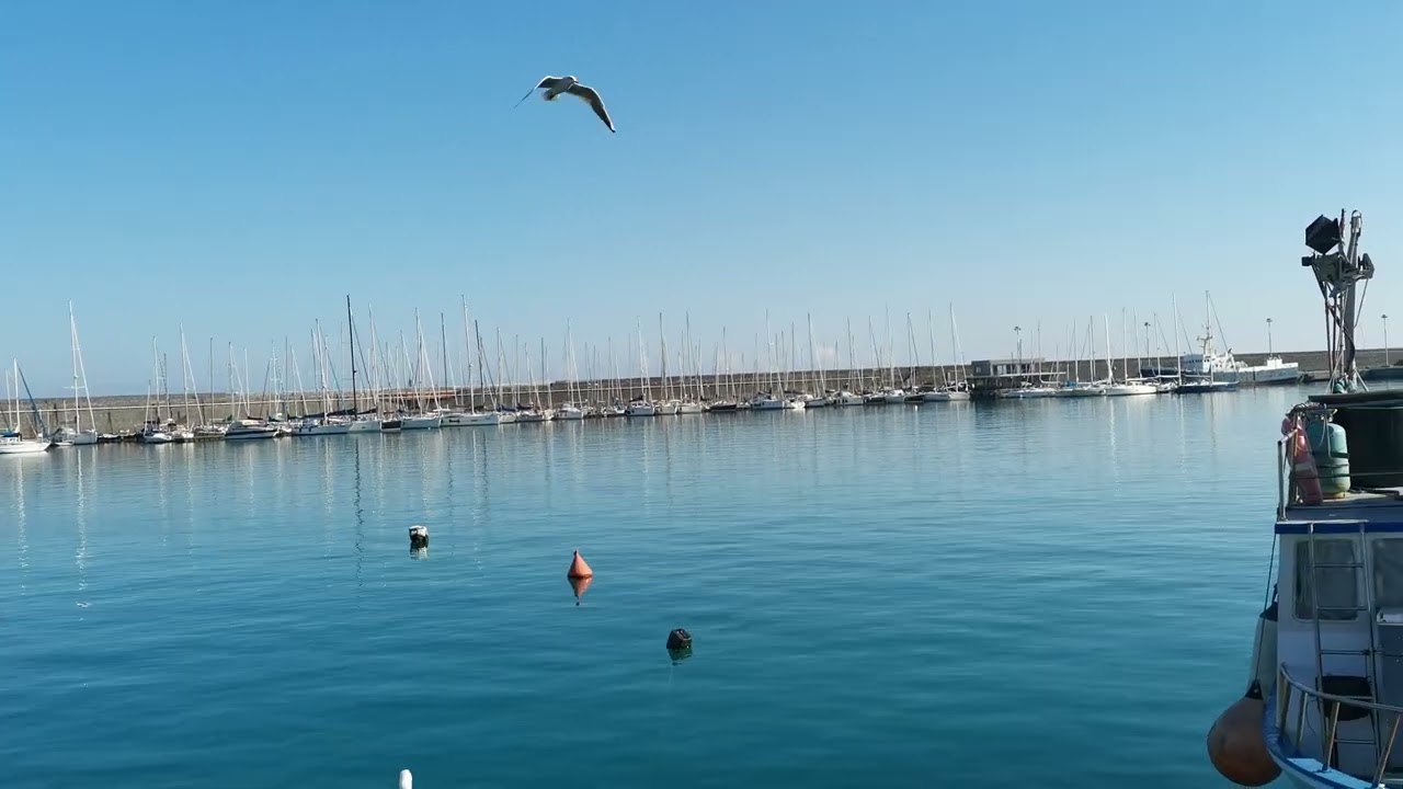 Beautiful Afternoon in Catania Port