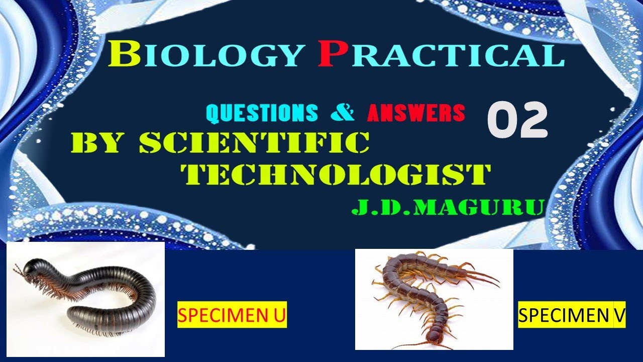 NECTA FORMAT BIOLOGY PRACTICAL QUESTION 02 | CLASSIFY SPECIMEN U AND V