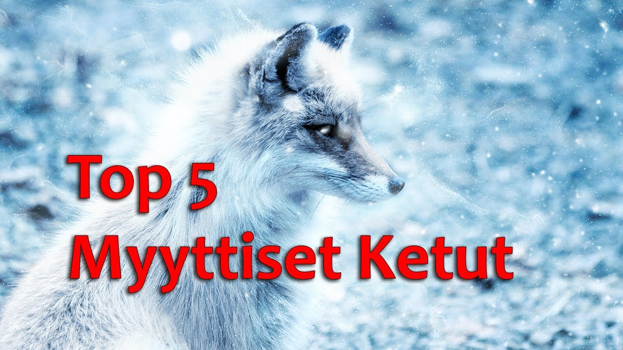 Top 5 Myyttiset Ketut