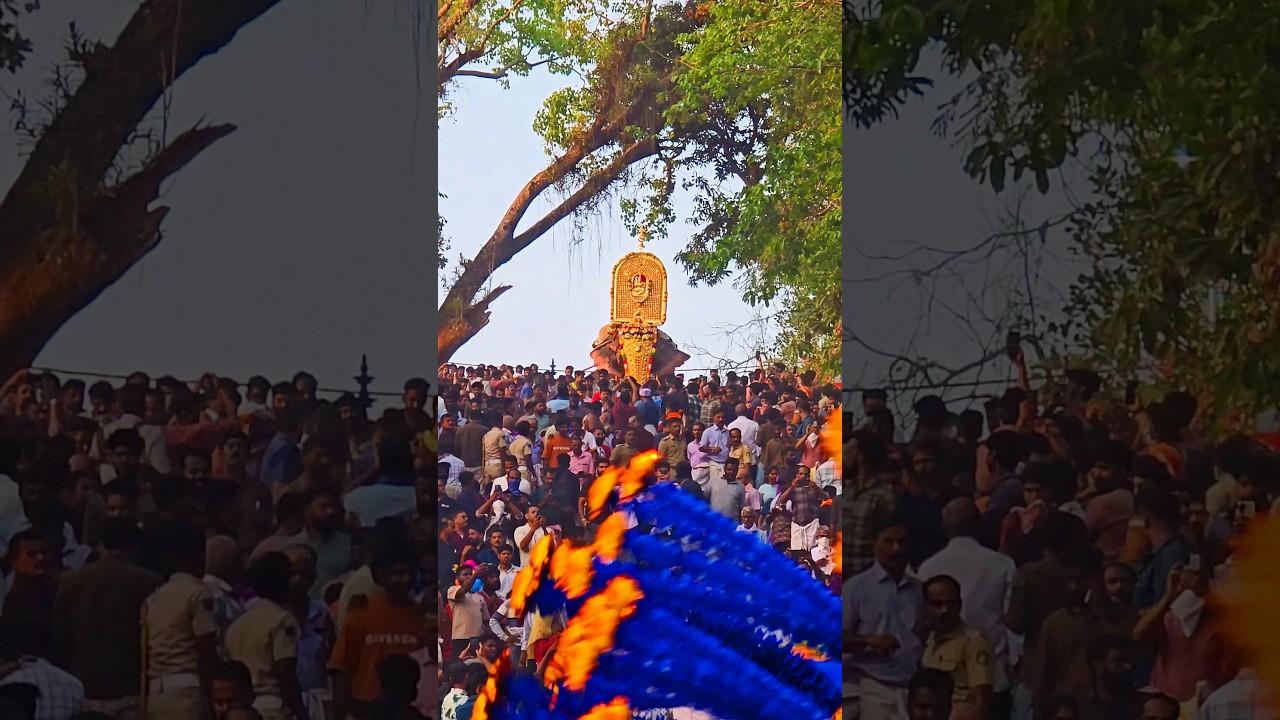 Hundreds of Steps, One Divine Descent 🐘✨ | Pariyanampetta Pooram #GoosebumpsMoment