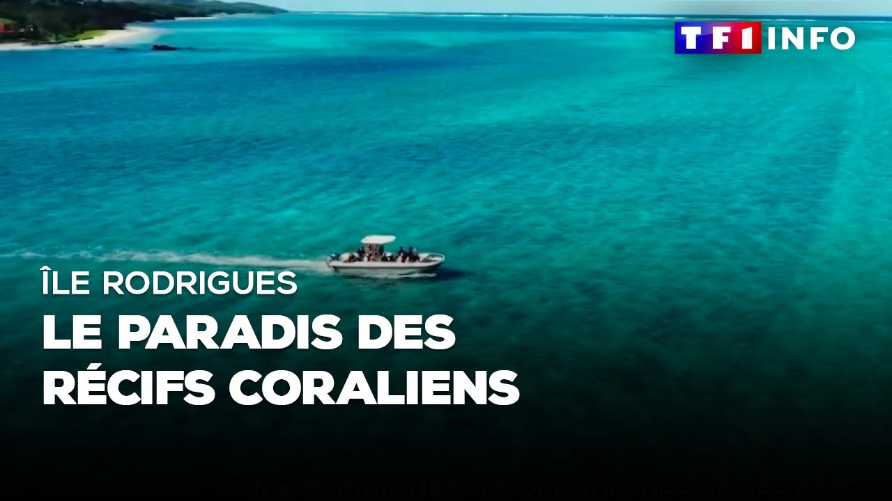 Île Rodrigues : le paradis des récifs coraliens