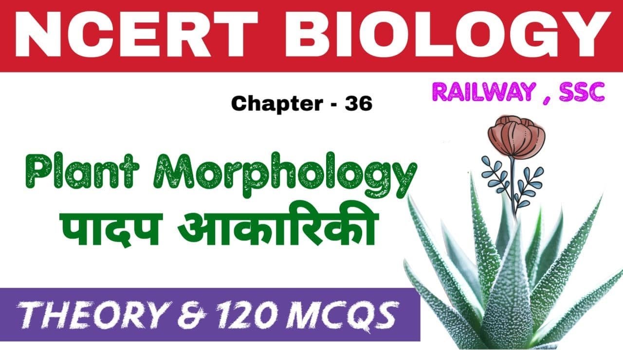 NCERT BIOLOGY - Plant Morphology | Theory + 120 MCQs | Bilingua | RRB NTPC , Group D & SSC