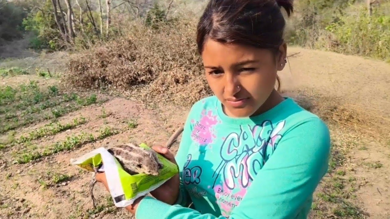 Kisne mara gilhari ko 😟