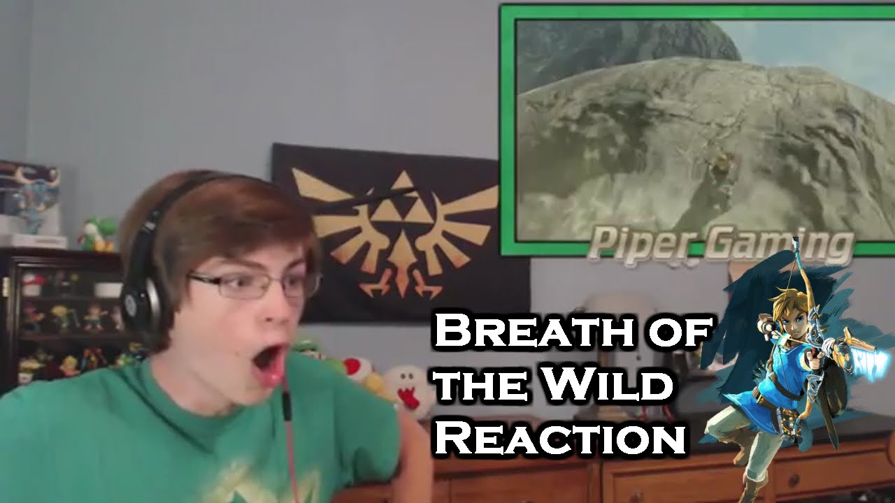 My Reaction to Zelda Breath of the Wild