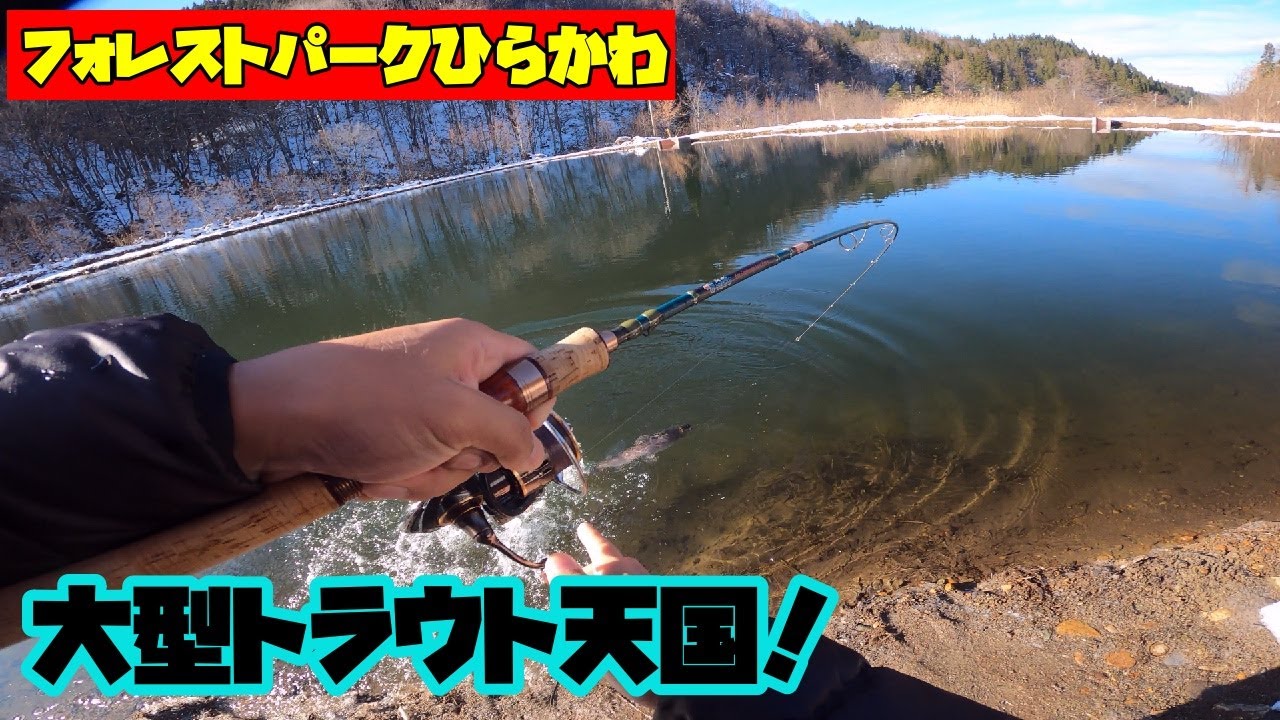 【フォレストパークひらかわ】プレオープン中のエリアでミノーイングを満喫！