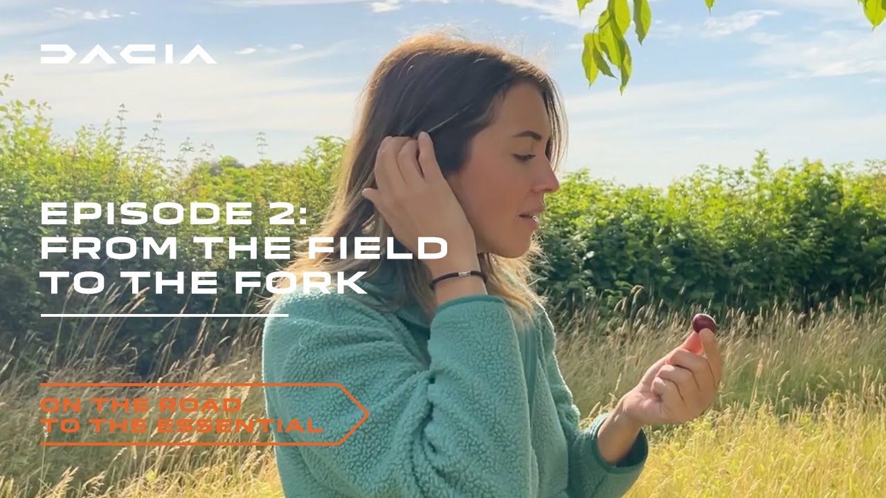 Hageland - Walk from field to the fork - On the Road to the Essential​