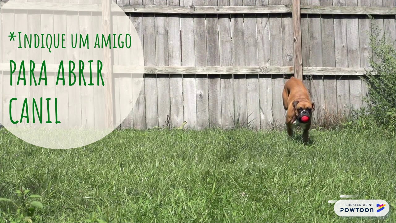 Fevereiro Amigo Sobraci