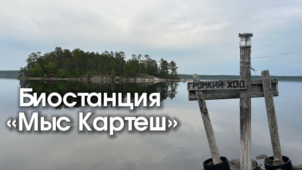 Влог | ББС ЗИН РАН «Мыс Картеш»