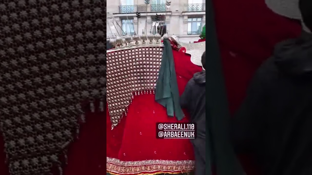 Zuljanah | Zuljana Walk | Sher Ali Zuljana | Ali Badshah Zuljana | imam Hussain horse