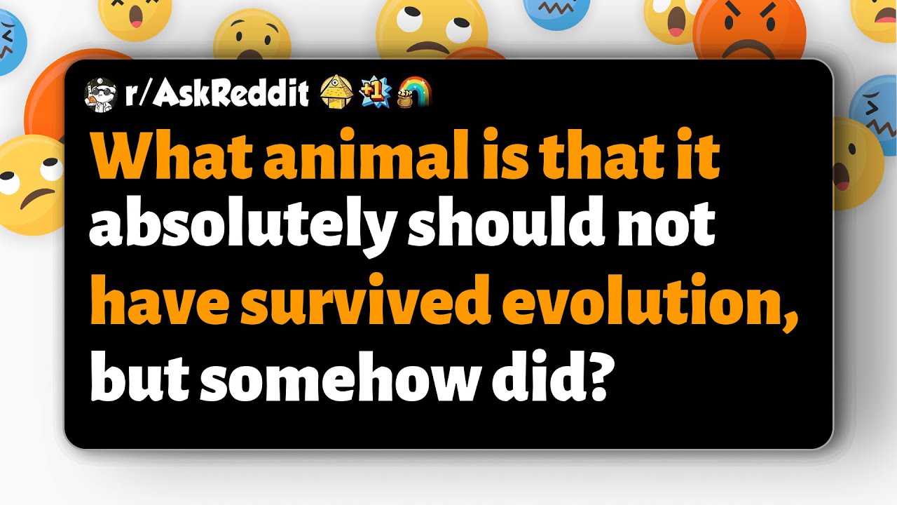 r/AskReddit | Which animal shouldn't have survived evolution but somehow did?