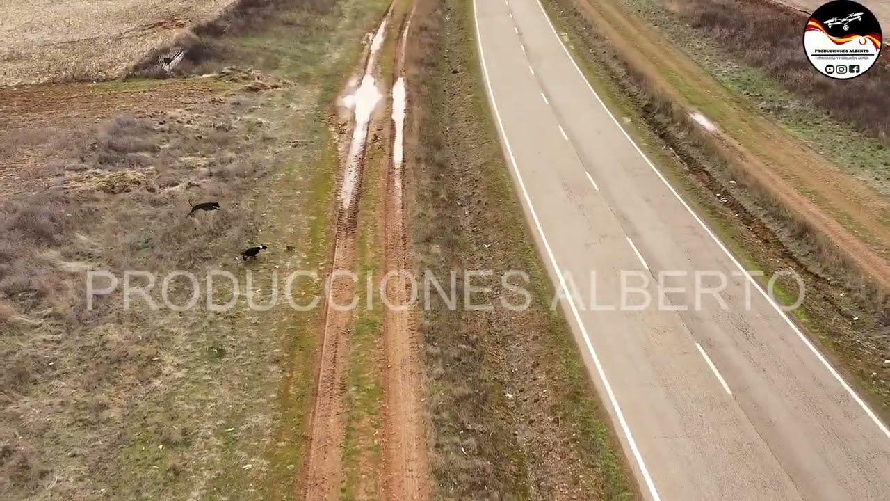 LIEBRES Y GALGOS CYL  TEMPORADA 25 26    20