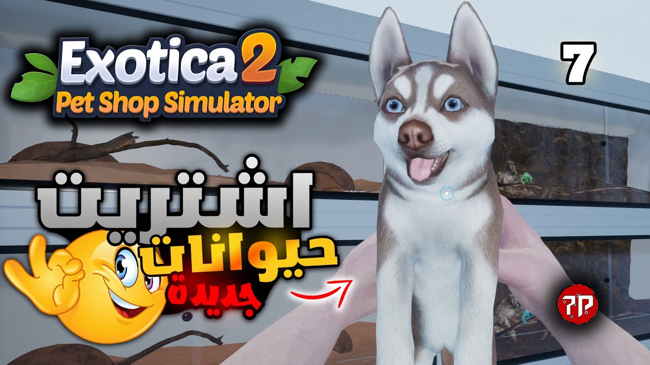 محاكي متجر الحيوانات الاليفة #7 🐕‍🦺 || اشتريت زواحف و حيوانات جديدة 😁 || Exotica 2 Pet Shop