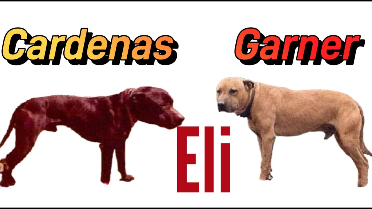 Watch  Before you buy This!! Cardenas & Garner's Eli Lines