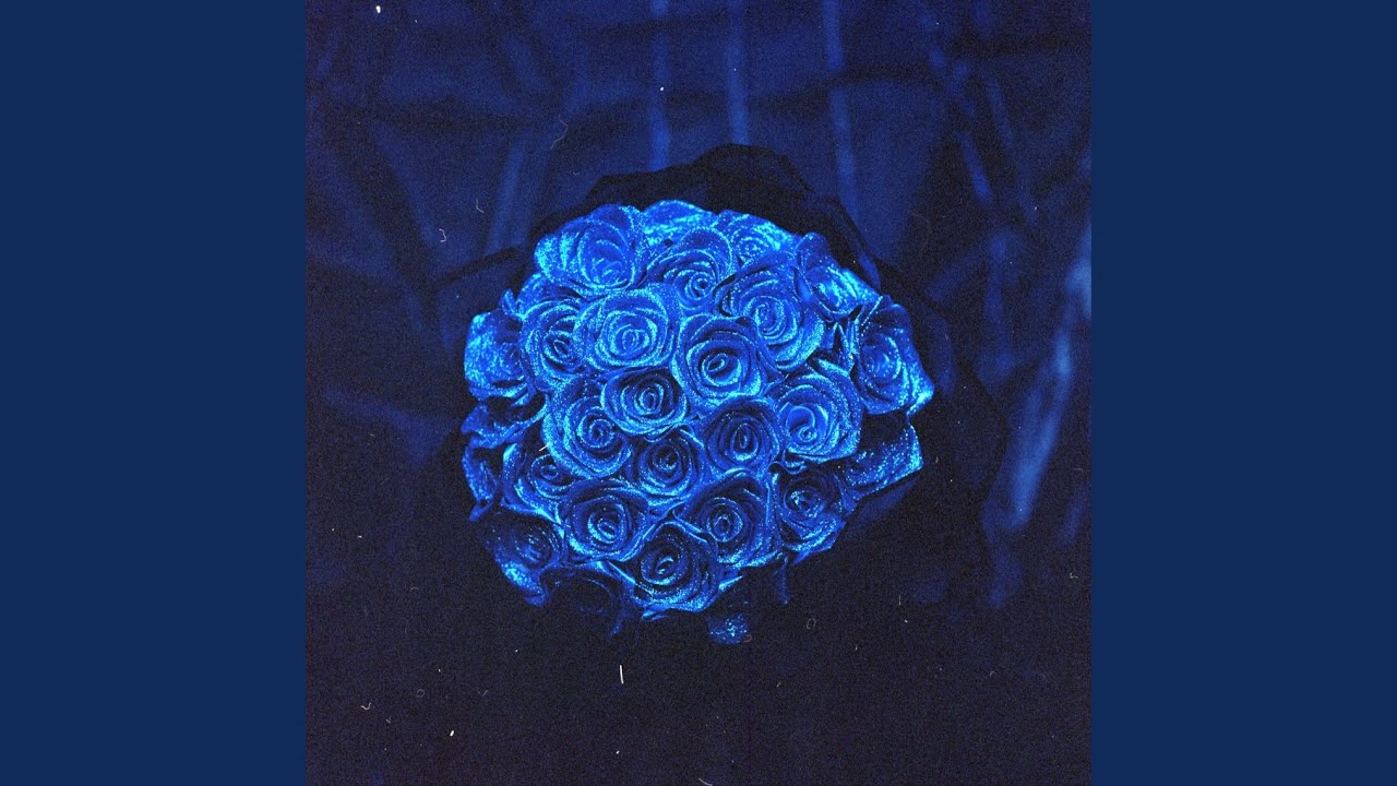 A New Life (Slowed)