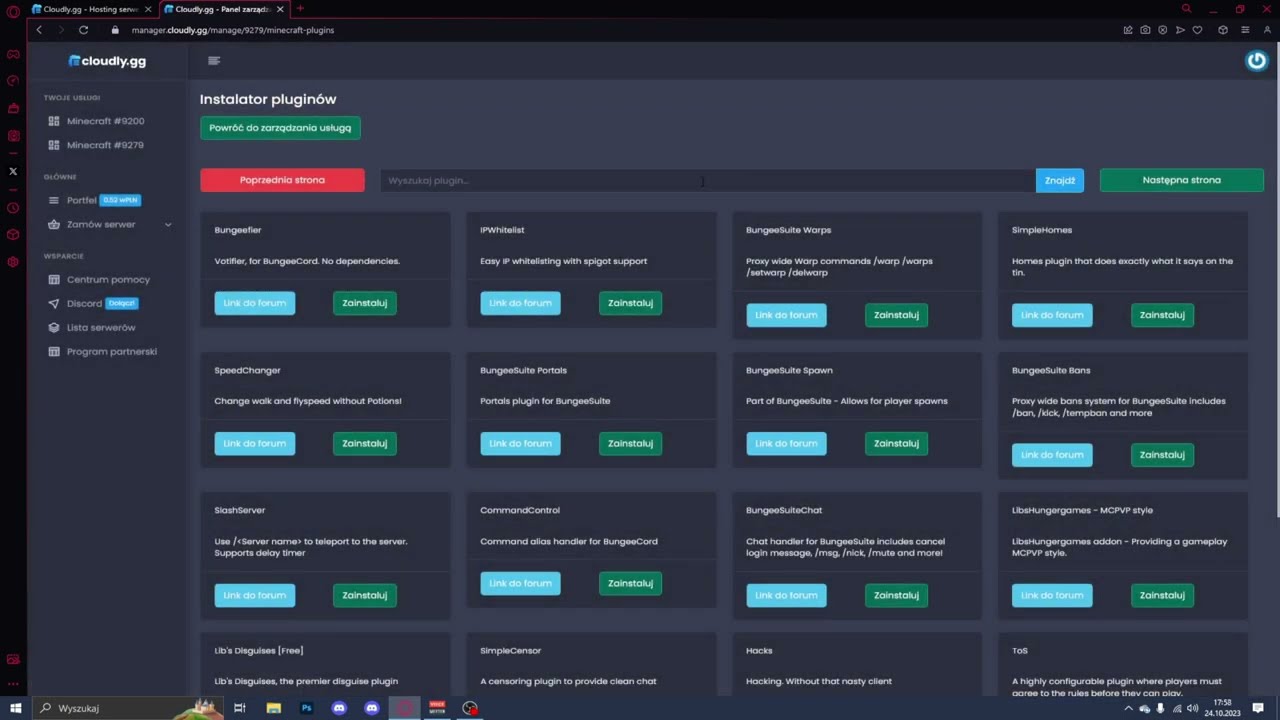 cloudly.gg - Wprowadzenie do panelu