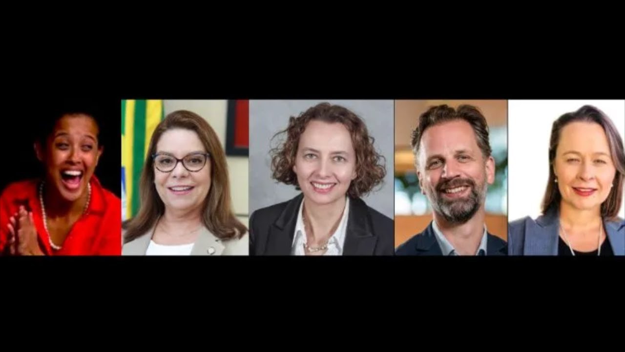 Open access funders and enablers outside the library: fresh perspectives and lesser-heard voices