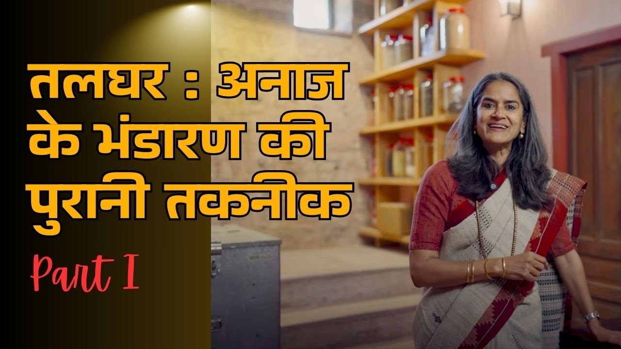 भूमिगत तहखाना: पुरानी तकनीक, अनाज और फसल के भंडारण का पुराना समाधान #rootcellar #undergroundcellar