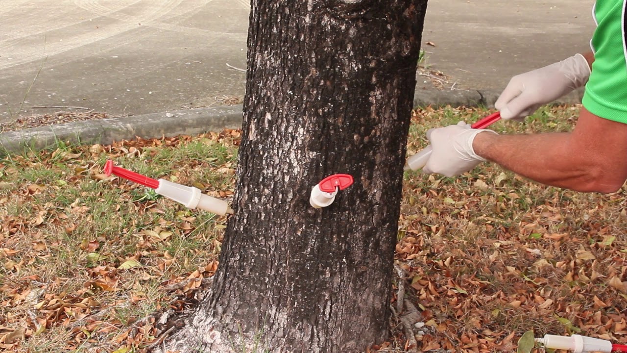 Chemjet Tree Injector-Instruction (Copyright by Chemjet)
