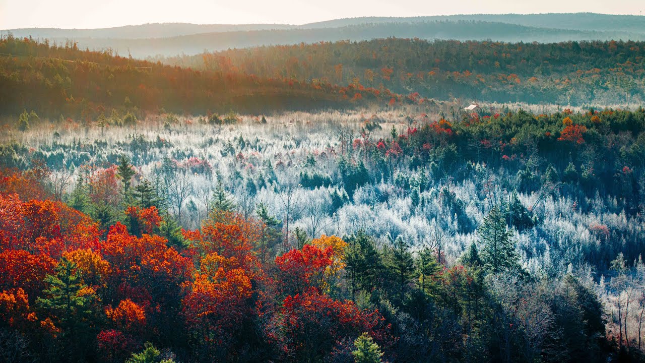 As Fall and Winter Collided 🍂 ❄️