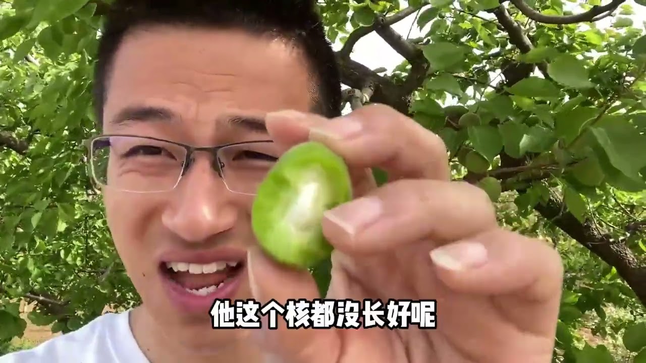 小伙回家下地，打算给树挂名牌，洞哥他们每人一棵，欢迎大家光临