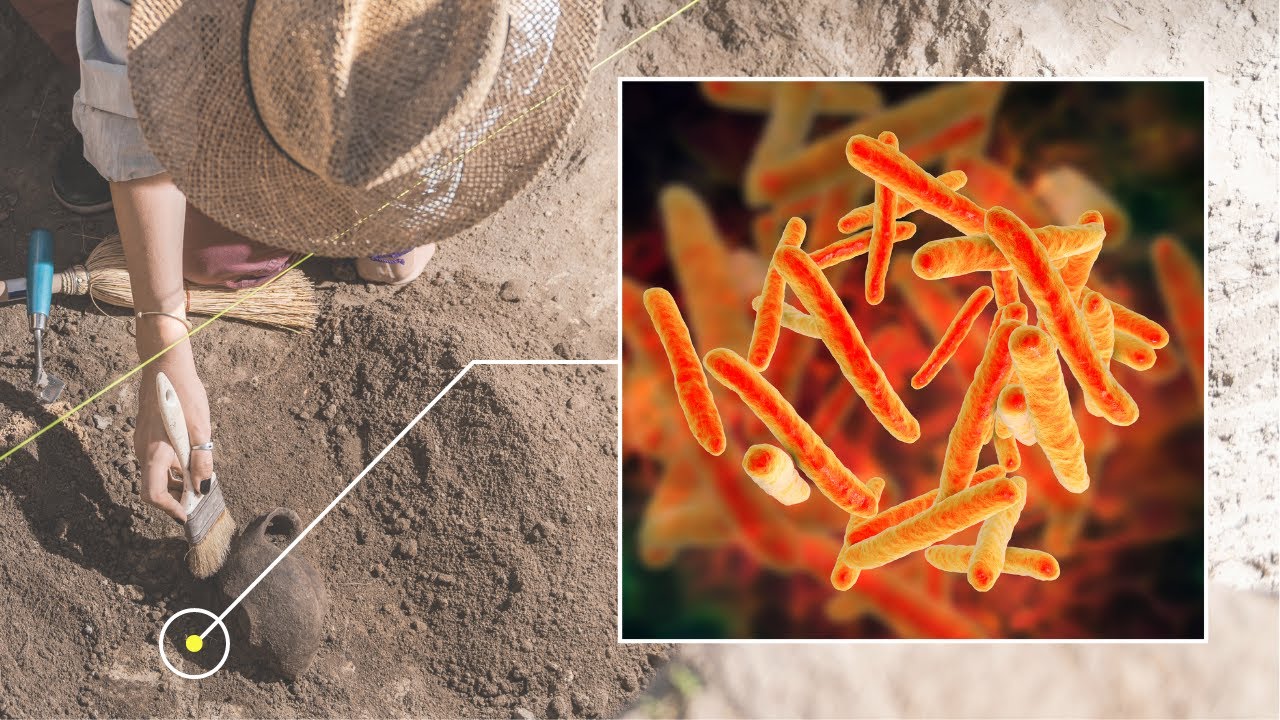 How We Uncover Ancient Diseases