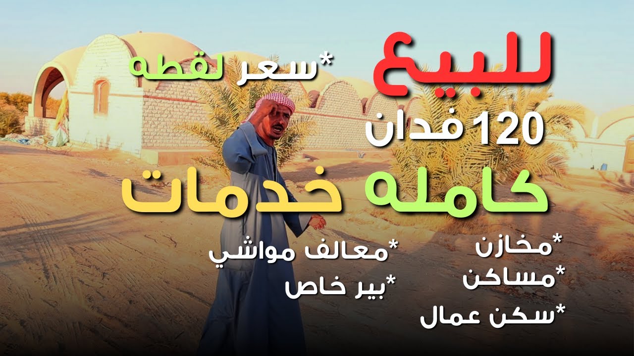 عزبه للبيع 120 فدان ارض زراعيه فيهم مساكن وجامع  ومعالف مواشي #اراضي_زراعيه