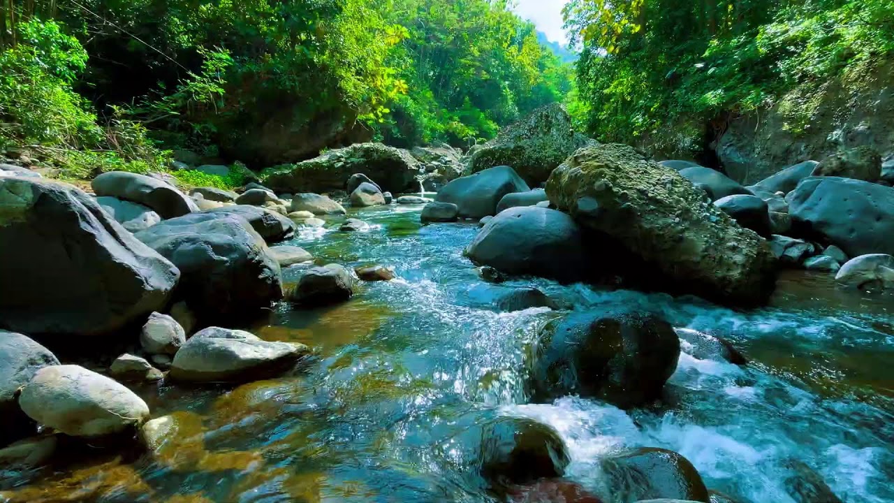 Deep Relaxation River Sounds – 10 Hours for Anxiety & Stress Recovery Stress & Tension Release
