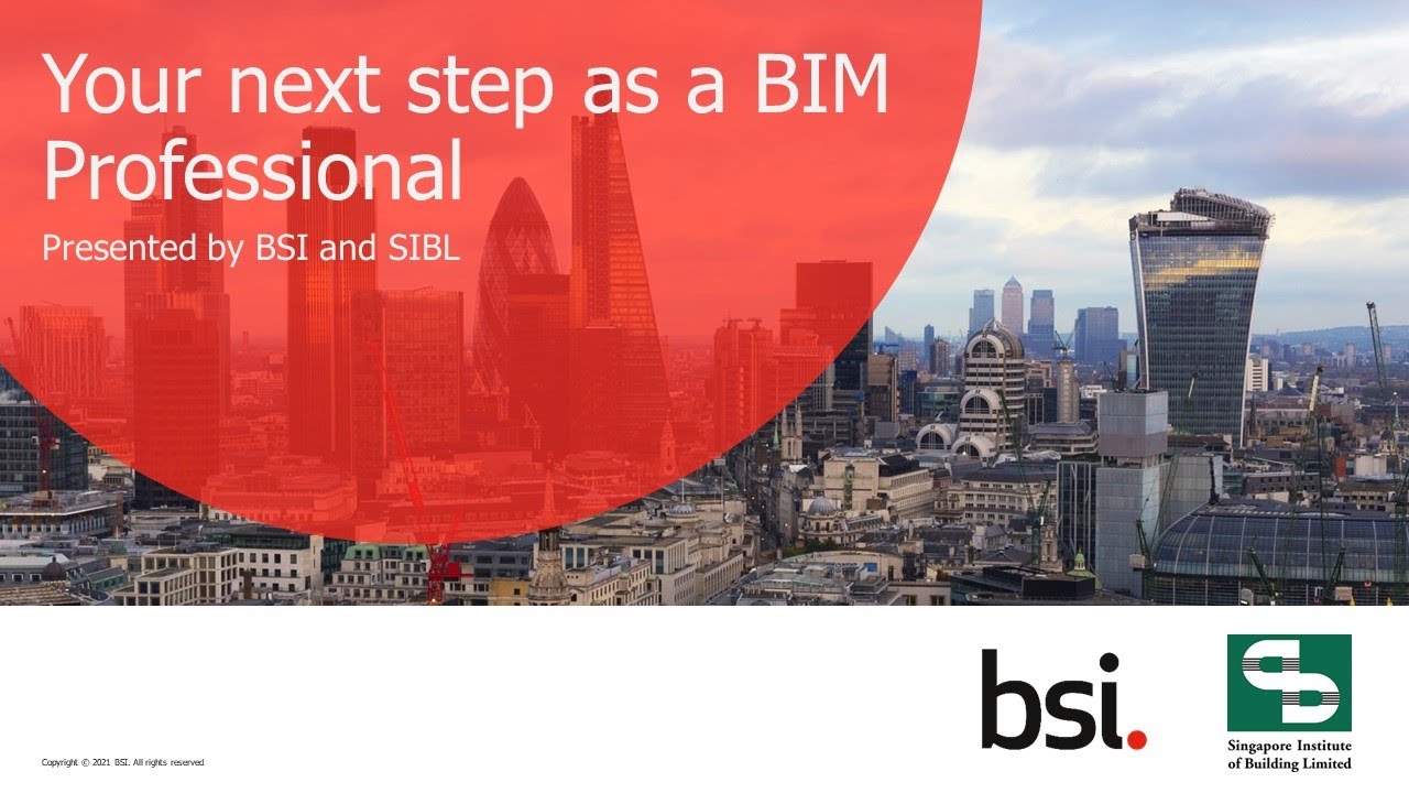 Your next step as a BIM Professional