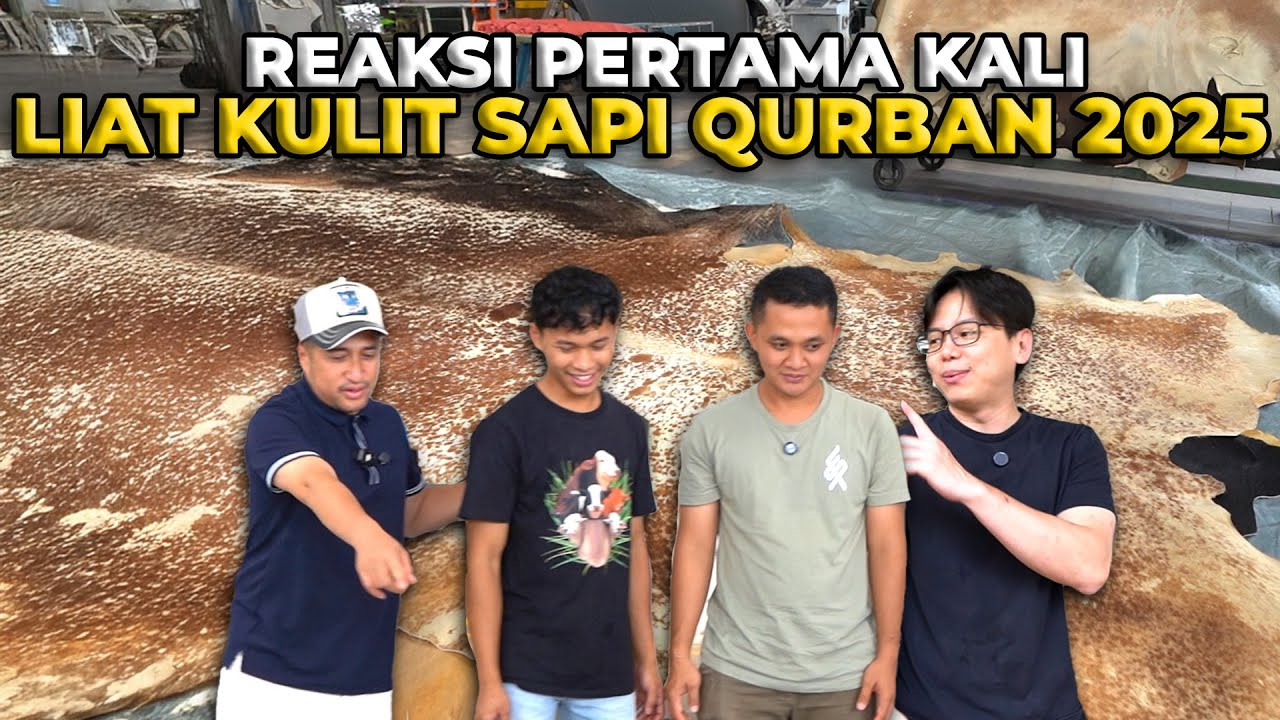 AJAK MAS HERMAWAN JEMPUT KULIT 13 SAPI QURBAN 2025..!