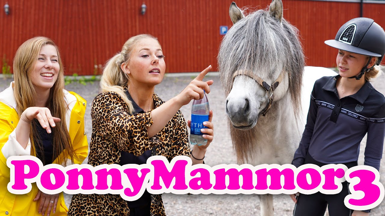 PONNYMAMMOR 3 | Ft. Melissa Fr&ouml;hlich & Johanna Lassnack
