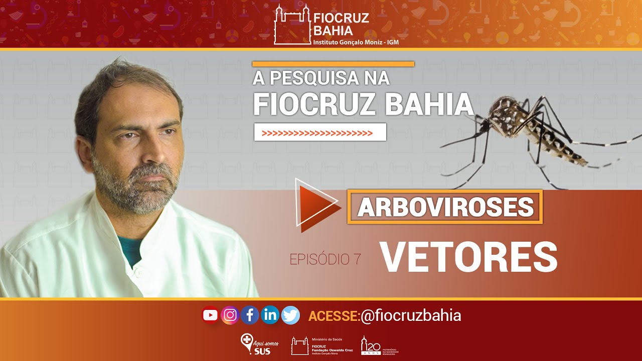 Arboviroses: Vetores - A Pesquisa na Fiocruz Bahia