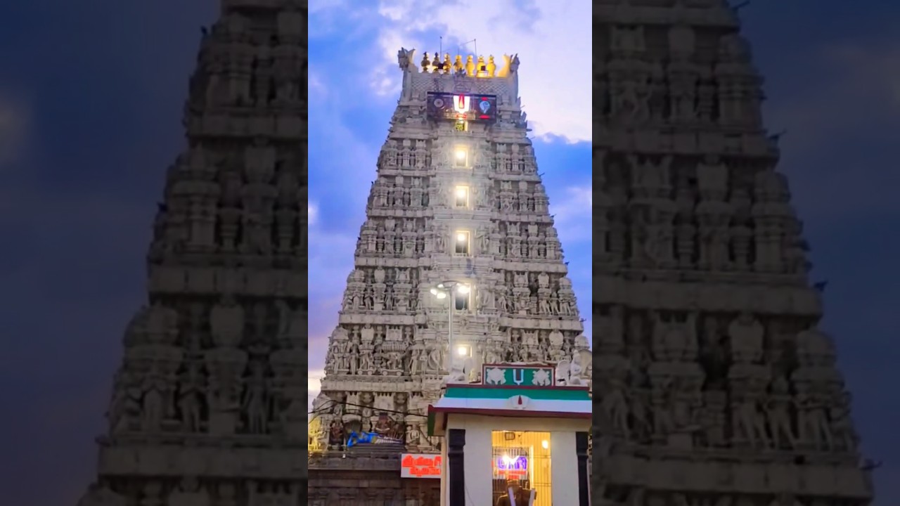 Sri Ranganatha Swami Temple | #nellore #andhrapradesh #temple  #vaikuntaekadashi #ranganathaswamy