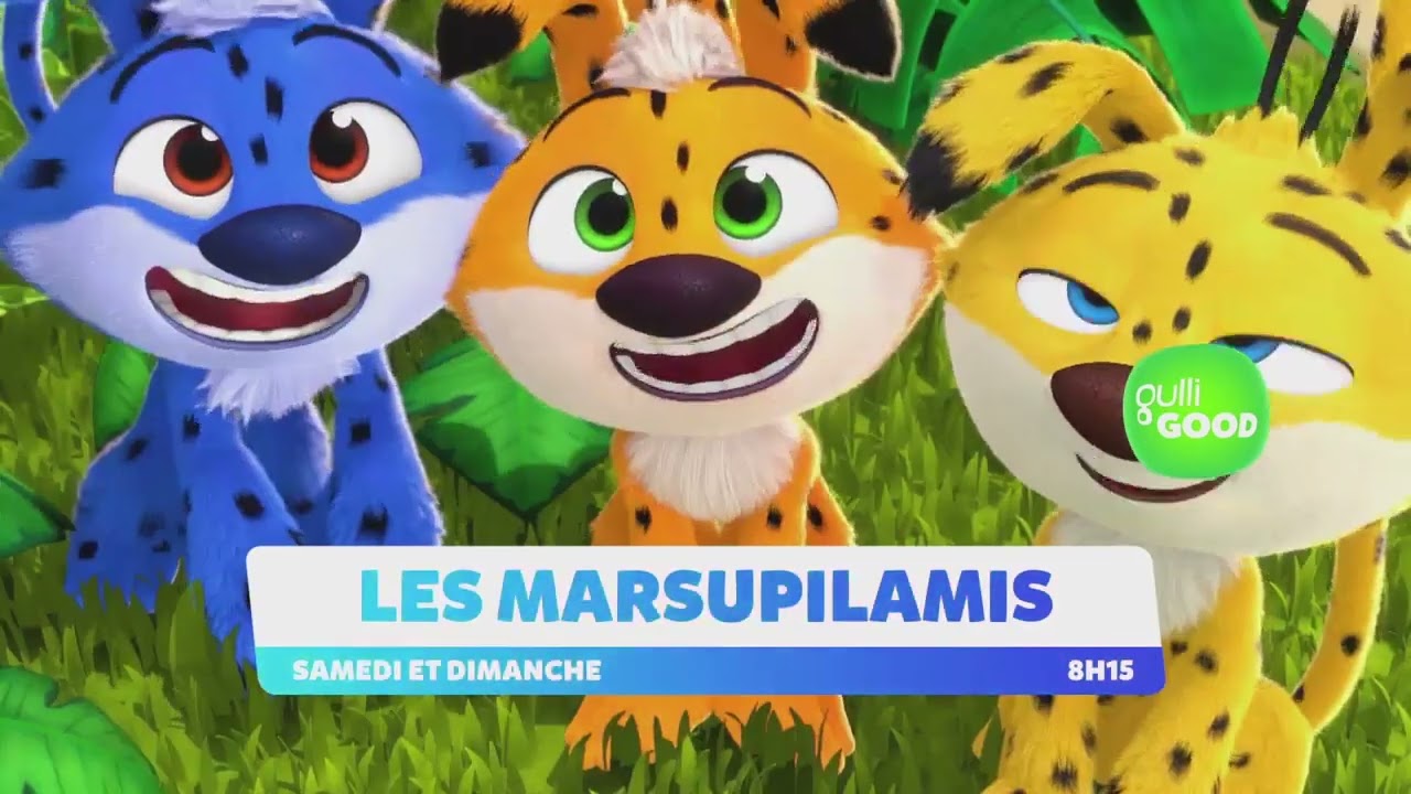 Gulli France - continuity (26 January 2026)
