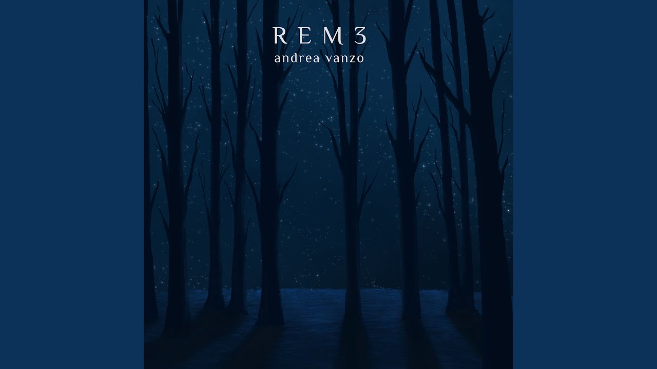 REM 3