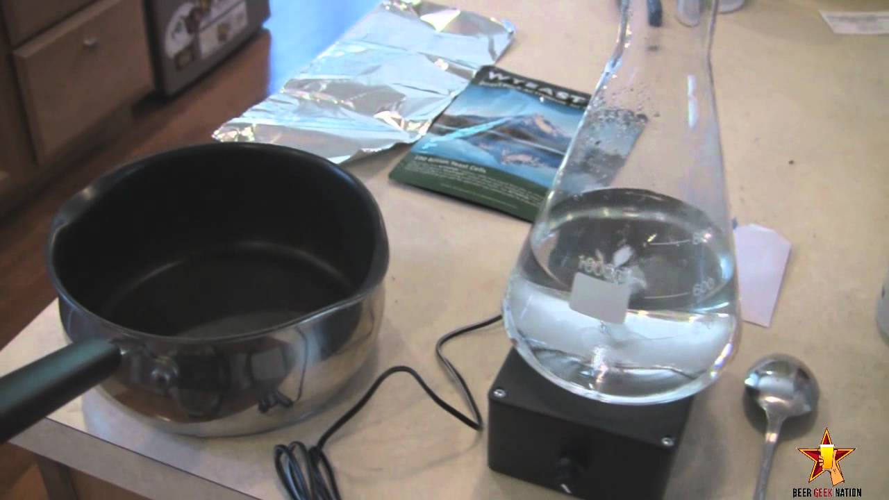Homebrew 101: Making a Yeast Starter | Beer Geek Nation Beer Reviews
