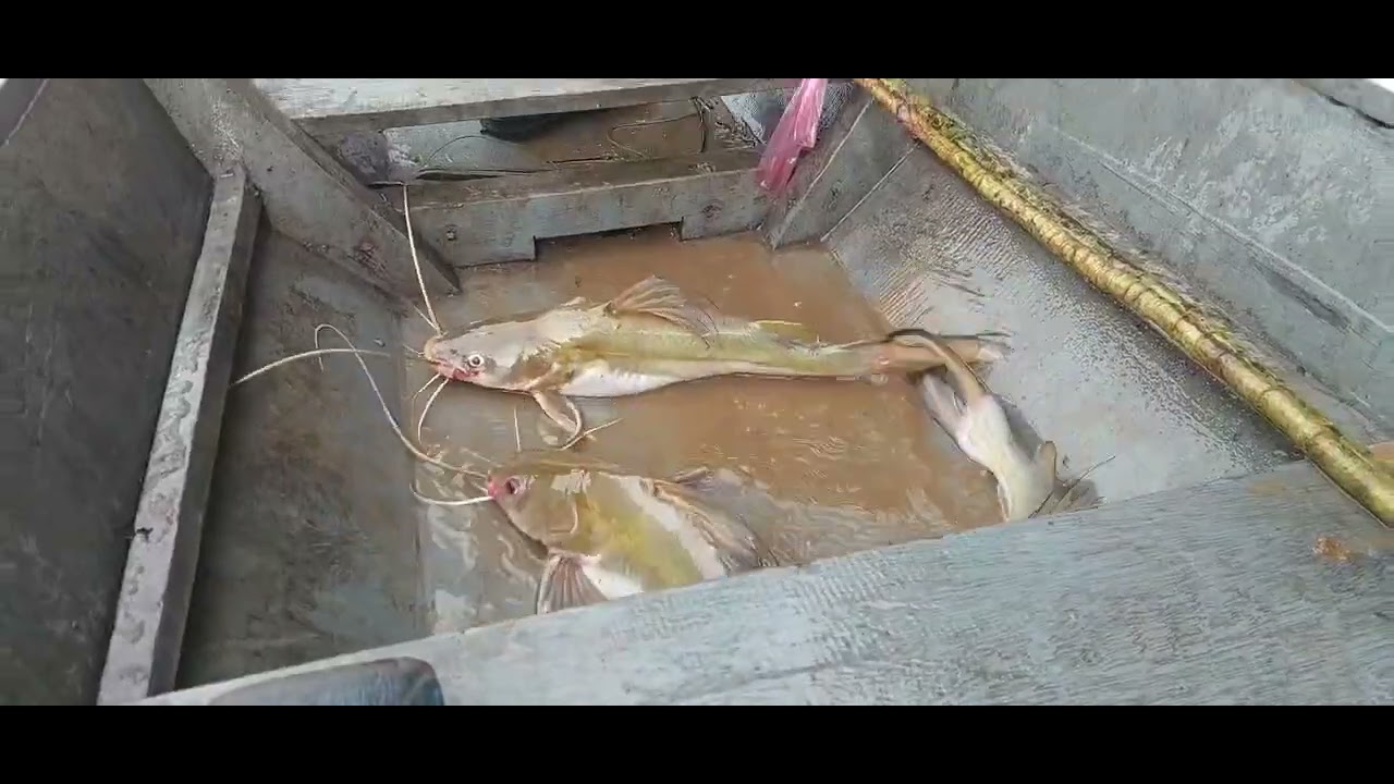 EPISODE 512:SEMUA TAJUR KITA TENGGELAM,TAPI MASIH ADA YANG SANGKUT.#youtuber #travel #ikan #fishing 
