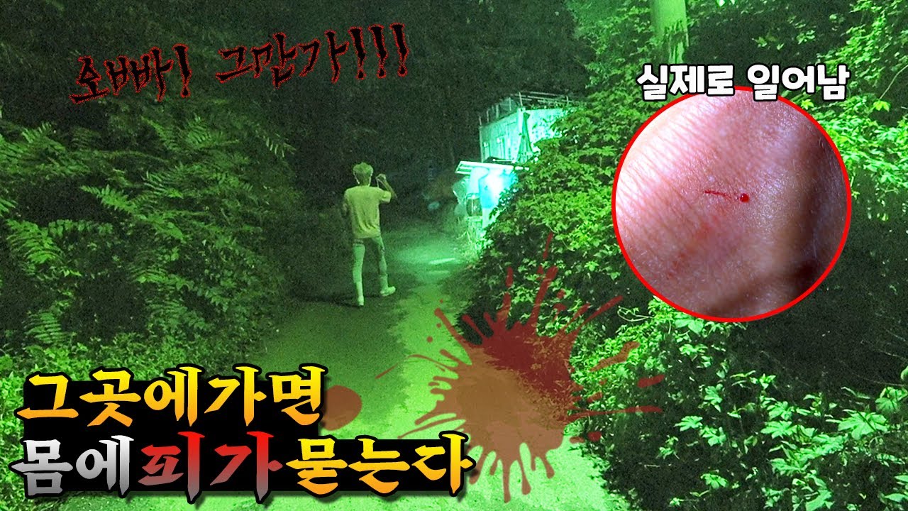 마지막 란더노티카 하다가 실제로 피가 묻었습니다! 소름돋아ㅜ 도대체 어디서 묻은거야?! 가족 일상 브이로그( vlog)ㅣ토깽이네