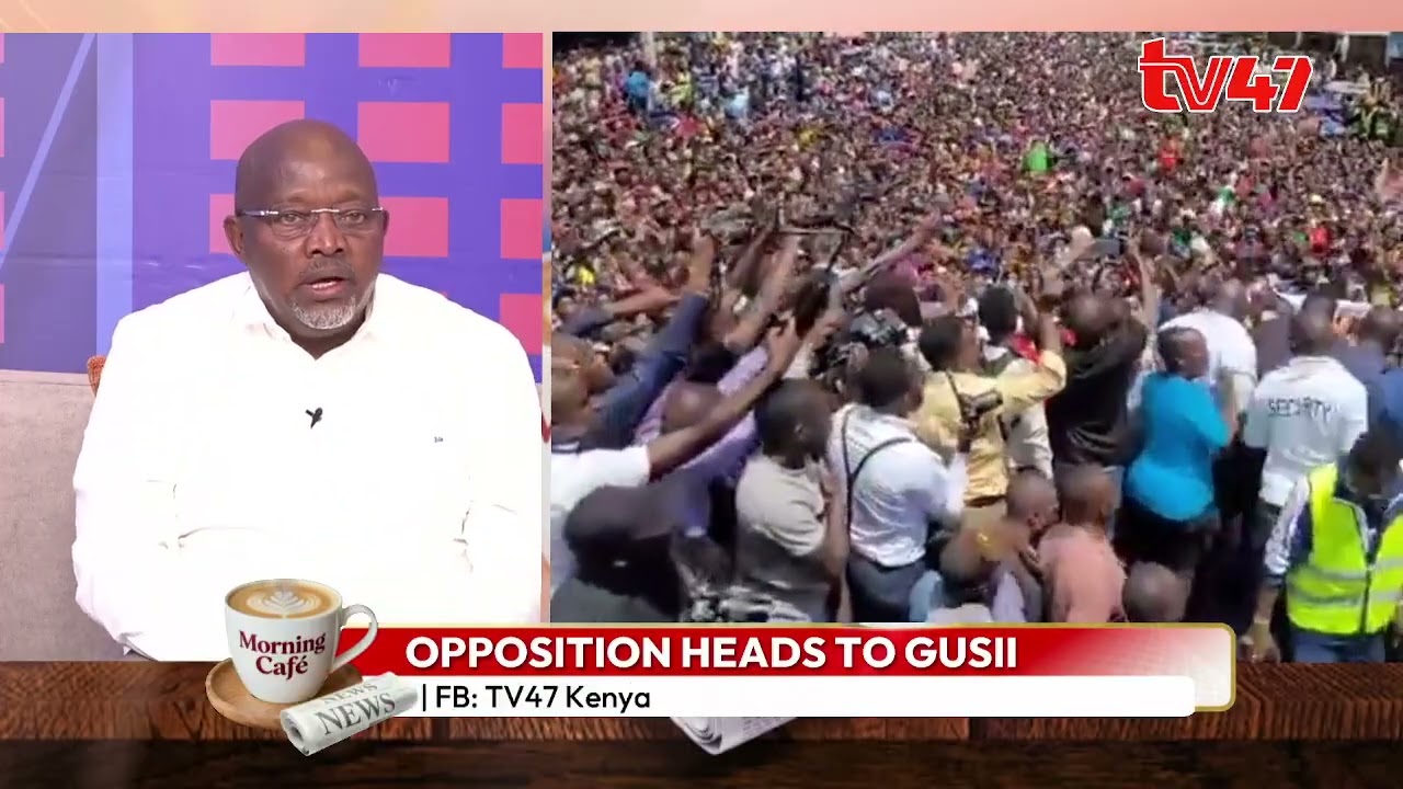 No police, no chaos: this is the solution to ‘goonism’ in opposition rallies - Kirwa