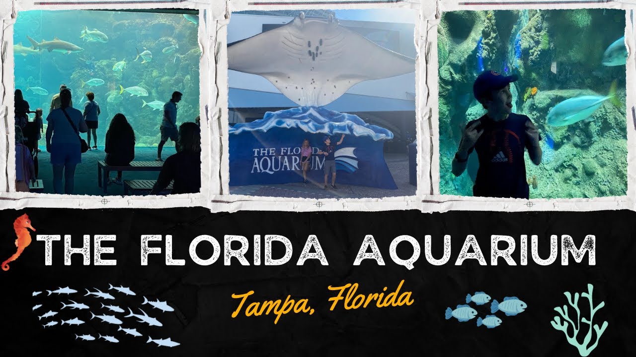 The Florida Aquarium Tampa FULL TOUR | Visiting The Florida Aquarium | Full 4K Tour and Walkthrough