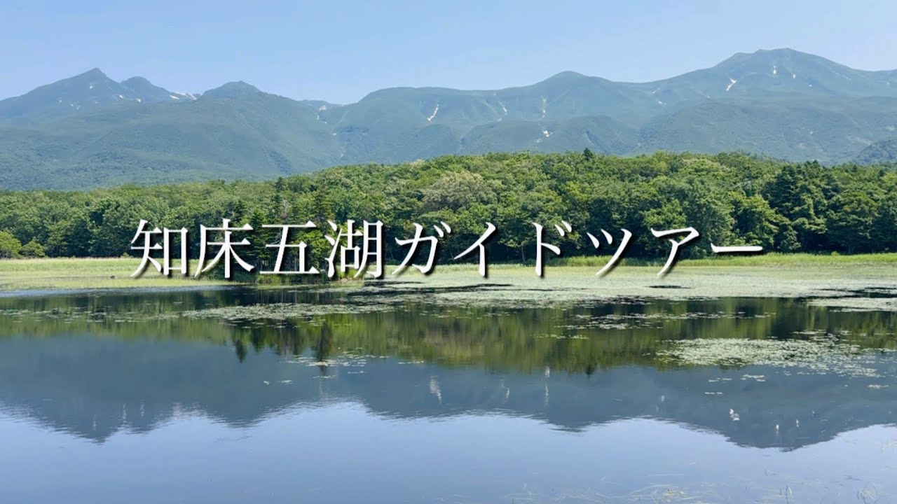 【北海道旅㉘】世界自然遺産 知床に行ってきた！ ハイエースバンライフ