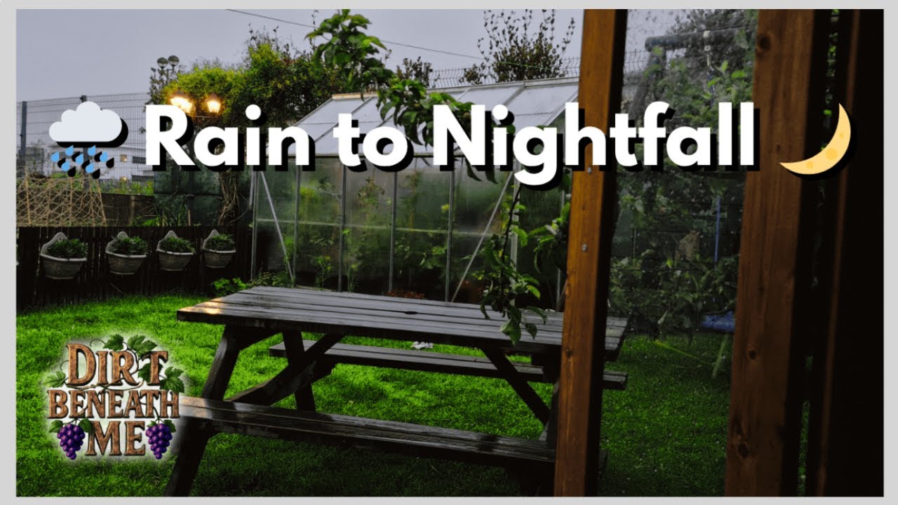 Rainfall & Streetlight | Relaxing Garden Ambience to Fall Asleep 08