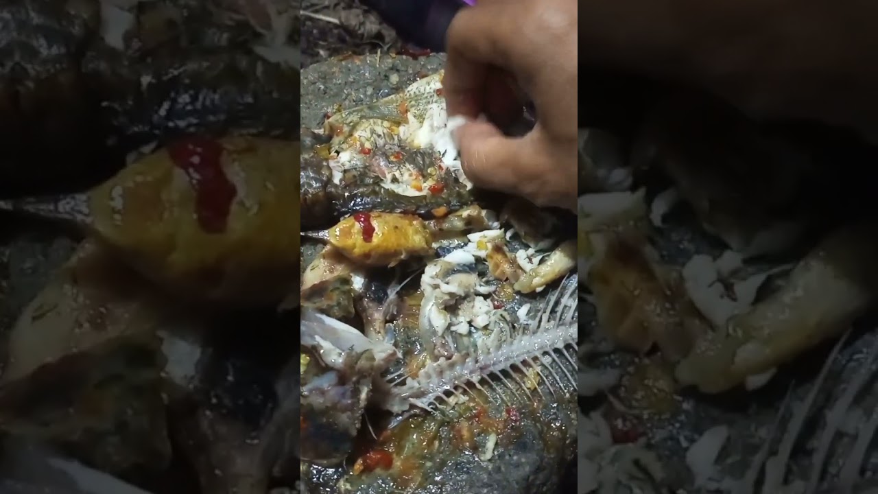 solo camping cooking  and sleeping in the wild #solocamping #solocampinghujan #campingcooking #short