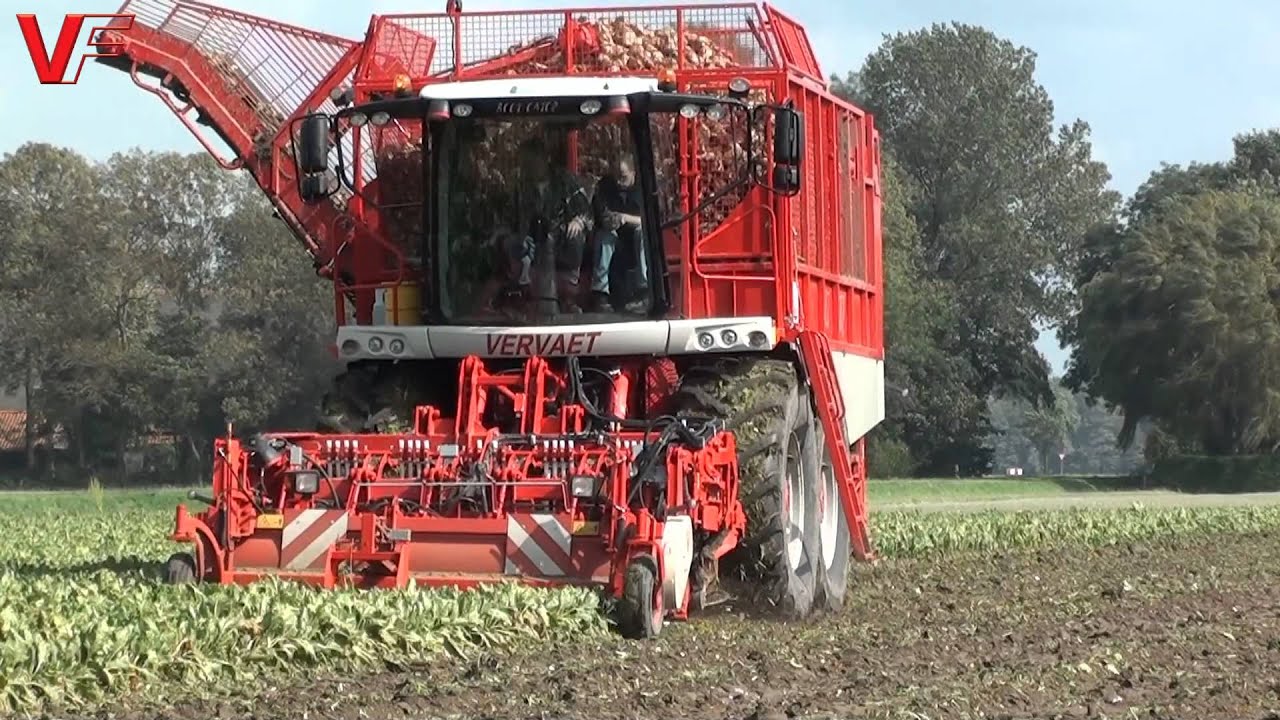 Vervaet Bietenrooier Beet Eater 625